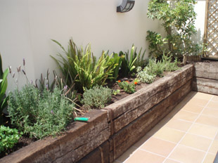 jardineria terrassa